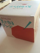 ラグノオ 気になるリンゴ 1個