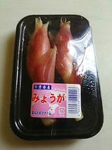 ワタナベ みょうが 1P