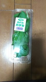 エコファーム バジル 20g