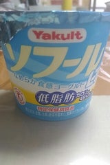 ヤクルト ソフールLT 100ml