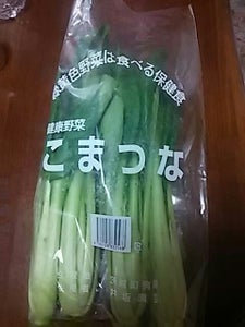 井坂 こまつなの商品写真