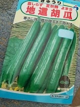 宇都宮 夏秋余蒔胡瓜