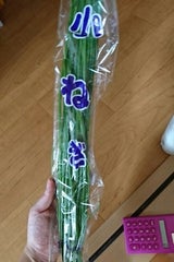 種市 小ネギ