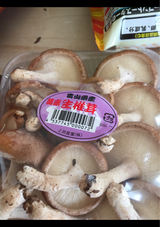 上田 なましいたけ 1P