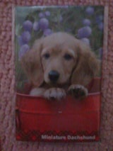 佐々木 ポチ袋ハーティー