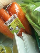 JA富里 にんじん 1P