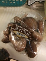 森 なましいたけ 1P