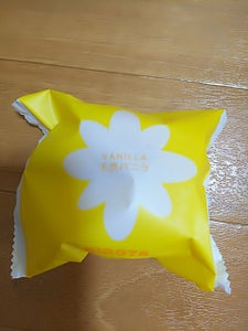 ヒロタ　シューアイス　バニラ　１個の商品写真