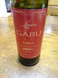 ルミエール GABU 2015 赤 750ml