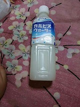 カルピスウォーター 自販機用 ペット 500ml