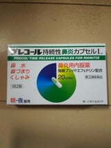 プレコール持続性鼻炎カプセルL 20カプセル