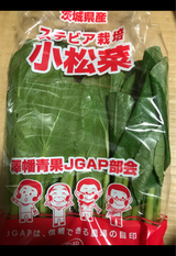 澤幡青果 小松菜