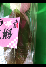 富田屋 ひとくちさくら餅 5個