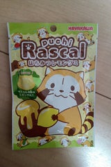 早川製菓 ラスカルはちみつレモングミ 40g