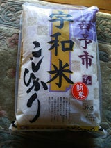 ドイ 愛媛宇和米こしひかり 5kg