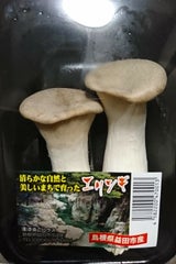 きのこハウス エリンギ 100g