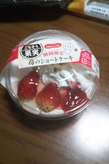 ドンレミー ごちそう果実 苺のショートケーキ 1個