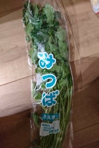 植田 みつば 1P