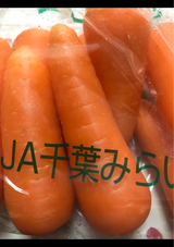 朝日 ヨウニンジン