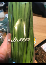 なすの園芸 にら