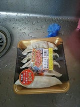 山下 餃子大将 48gX6P