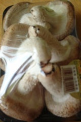 庄内たがわ 少量菌床椎茸 50g