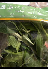 ミスズ ベビーリーフ 長崎産 40g