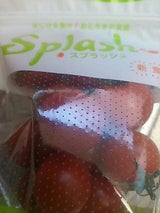 アグリビジョン スプラッシュミニトマト 130g