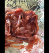 波座 いか明太クリーンカップ 150g