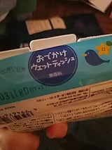 宮内 おでかけウエットティッシュ 30P