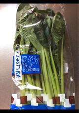 関根 こまつな 1P