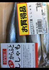 松江 子持ちししゃも 超特丁 8尾