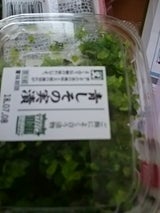 高口 青しその実漬 90g