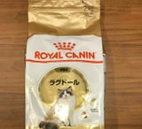 FBN ラグドール 2kg