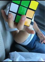 戸成 トライキューブ 1P