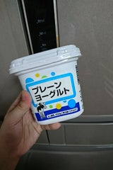 千葉酪 プレーンヨーグルト 450g