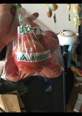 JA秋田 細谷さん家のとまと