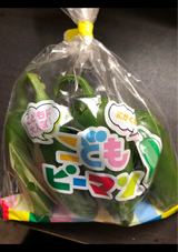 タキイ 乙女百合 1袋