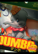 音光 ダンボDVD 1P