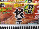 イートアンド 大阪王将 羽根つき餃子 314g
