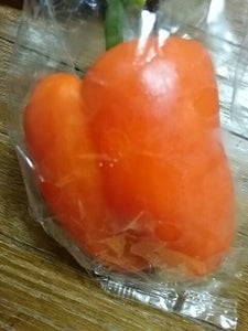 シントウア　国産パプリカ　オレンジの商品写真