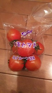 ＪＡ全農いばらき　トマト　中玉　スタンドＰ　３００のレビュー画像