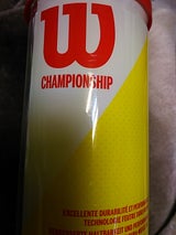 WS テニスボール  WRT100101