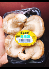 上田 なましいたけ