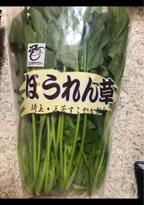 プランシャン 婦人カットソー 1Pのレビュー画像