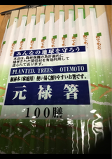 矢口昇商店 植林木 元禄箸 100P