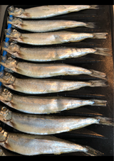 高田 ししゃも 5L 8尾