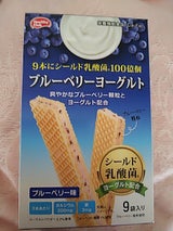 ハマダ ブルーベリーヨーグルトウエハース 9本