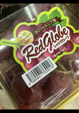 ケープスパン レッドグローブ 1P