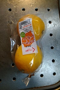 名果　くらし良好　メイヤーレモンの商品写真